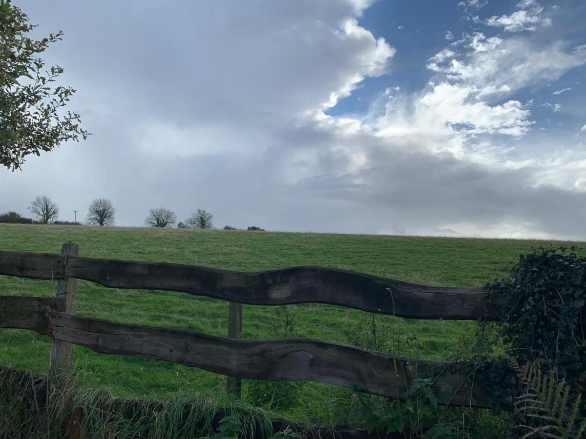 يلفيرتون Character Dartmoor Cottage المظهر الخارجي الصورة